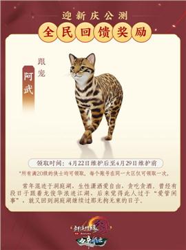 天龙八部私服npc脚本